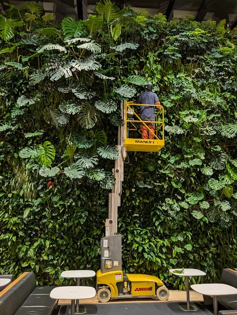Vertical garden installation for residential client