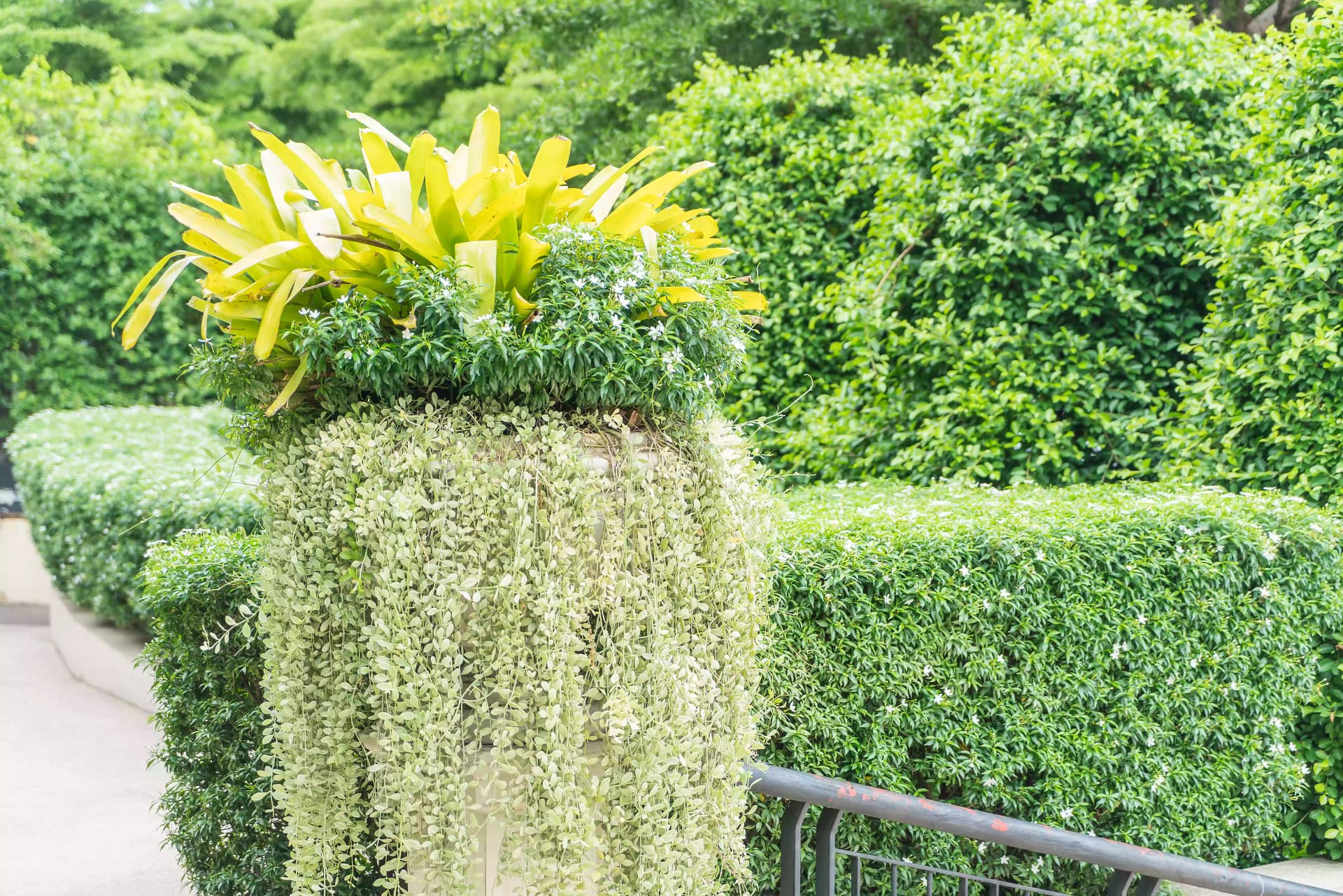 Vertical Gardens project 2 by Omair Farooqui