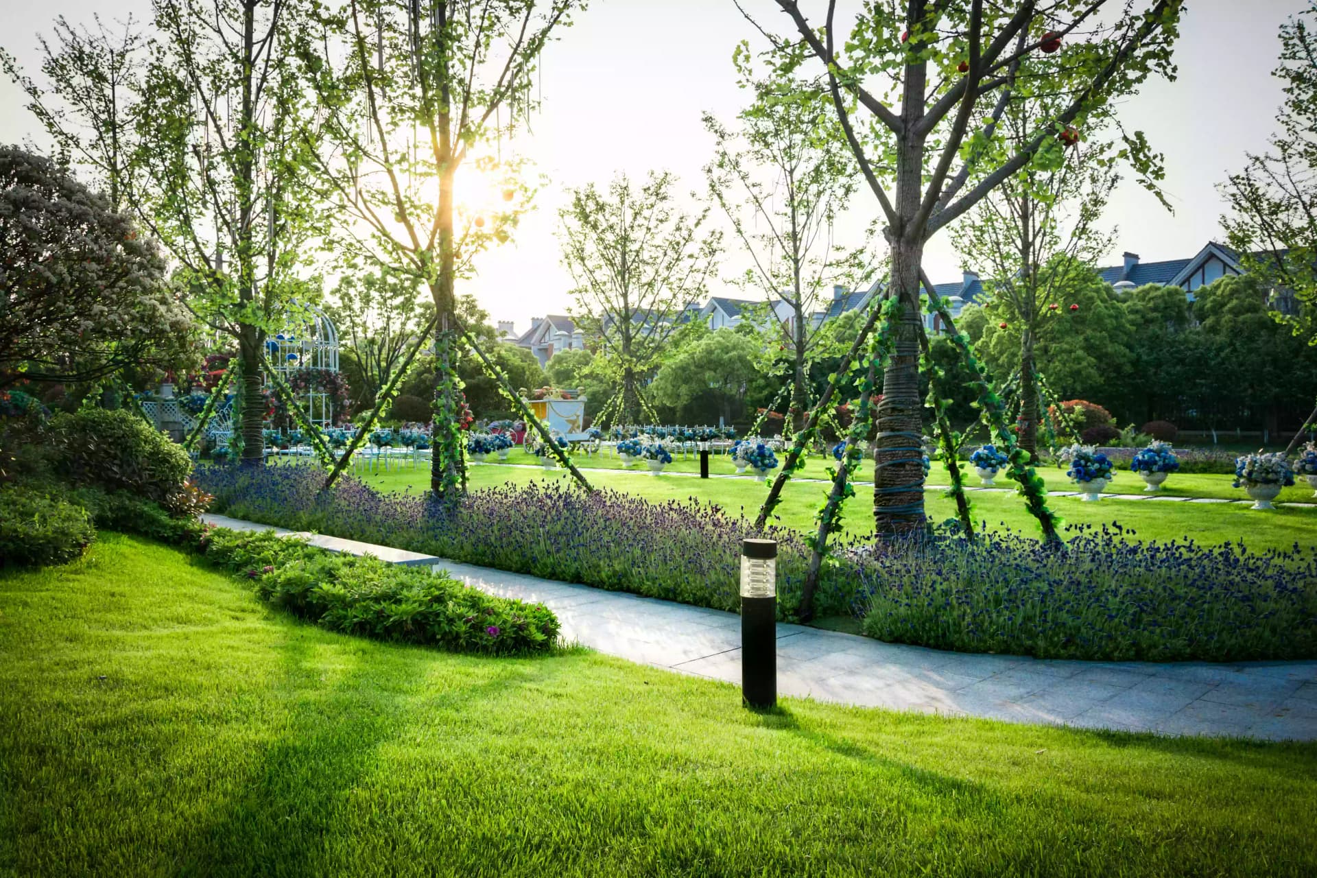 Modern outdoor landscaping project