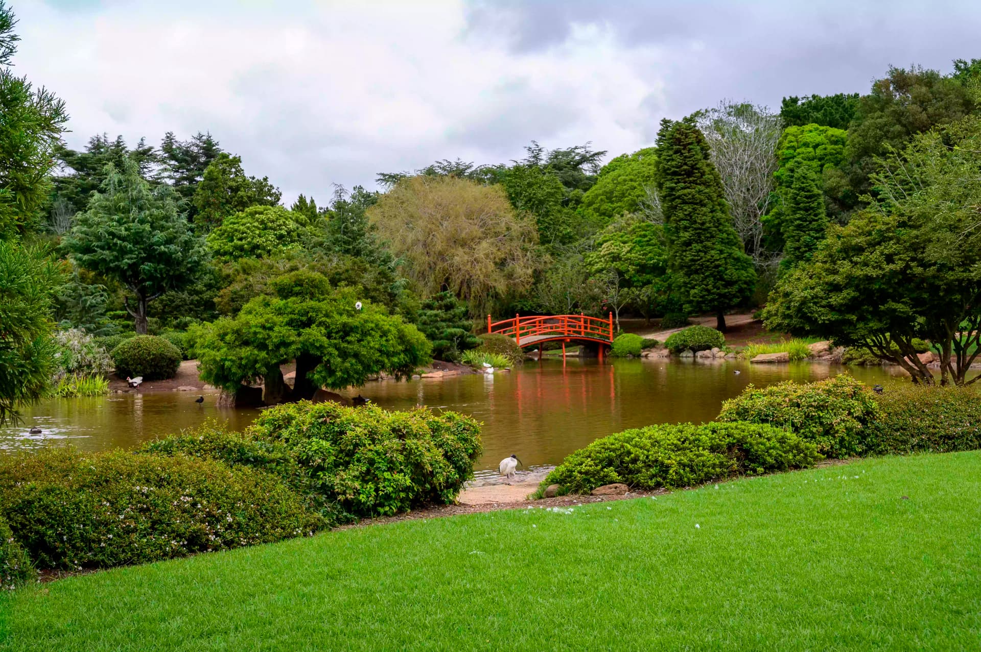 Landscaping project 3 by Omair Farooqui