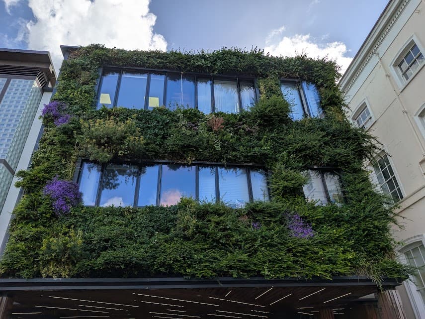 Green Projects project 3 by Omair Farooqui
