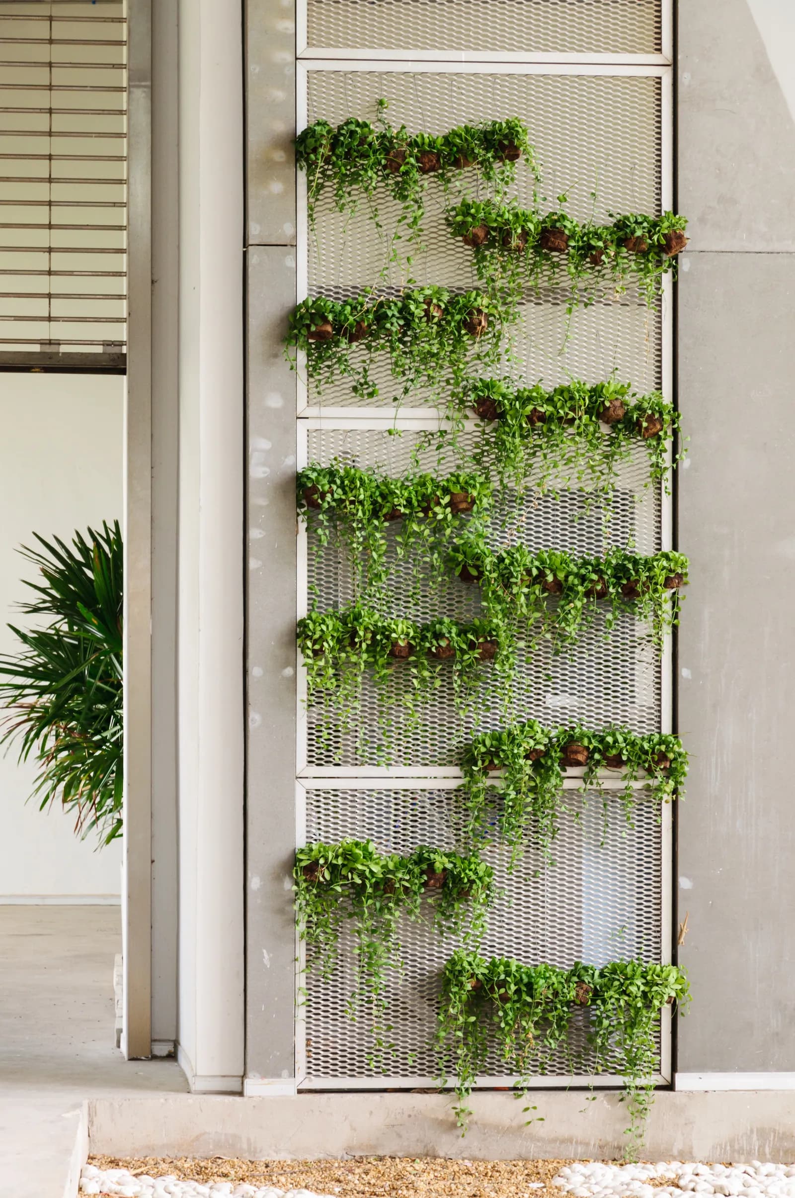 Vertical Gardens