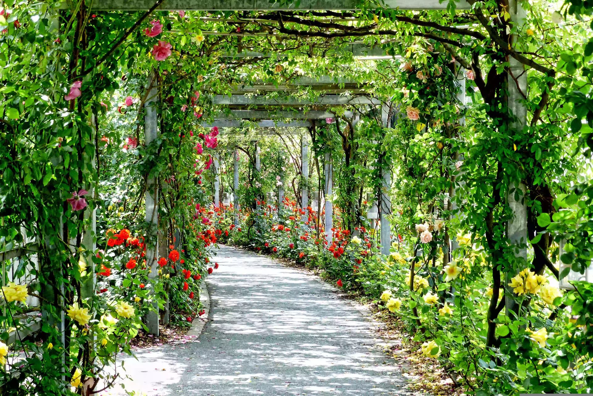 Green Projects project by Omair Farooqui